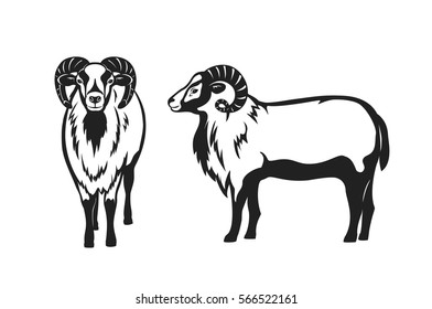 Mouflon sheep vector illustration silhouette , side and front view