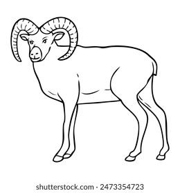 mouflon sketch vector illustration,isolated on white background,top view