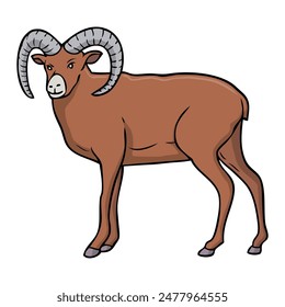 mouflon vector illustration,isolated on white background,top view