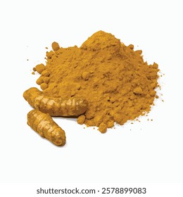 a mound of ground turmeric and pieces of turmeric vector on white background