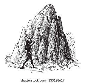 Mound or Termitaria, of Termite or Termitoidae, shown are large mounds, vintage engraved illustration. Dictionary of Words and Things - Larive and Fleury - 1895