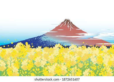 Mount Fuji and Rape Flower Field