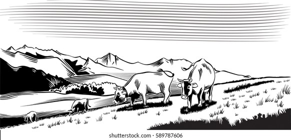 Mountain agricultural landscape with cows in a meadow, intent to graze the grass.