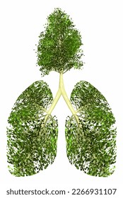 Mountain Air-Aspen trees are pictured as alveoli and other features of a human lung in this illustration about the importance of trees in keep high air quality in our atmosphere. 3-d illustration