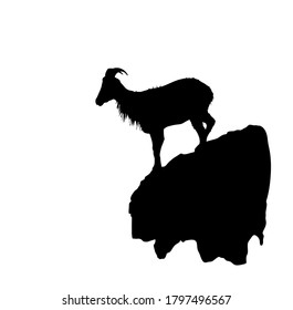 Mountain alps goat on rock on top of the hill vector silhouette illustration isolated on white background. Wild animal symbol. 