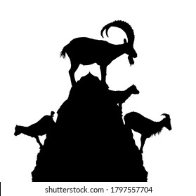 Mountain alps goats on rock on top of the hill vector silhouette illustration isolated on white background. Wild animal symbol. Ibex goat couple, male and female with goatling. Wildlife animal family