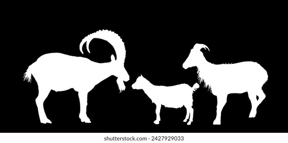 Mountain alps goats vector silhouette illustration isolated on black background. Wild animal symbol. Ibex goat couple, male and female with goatling. Wildlife animal family in natural habitat shadow.