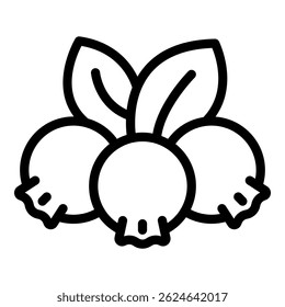 Mountain ash berry icon. Outline mountain ash berry vector icon for web design isolated on white background