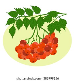 Mountain ash branch 