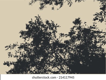  mountain ash branches silhouette. detailed vector illustration