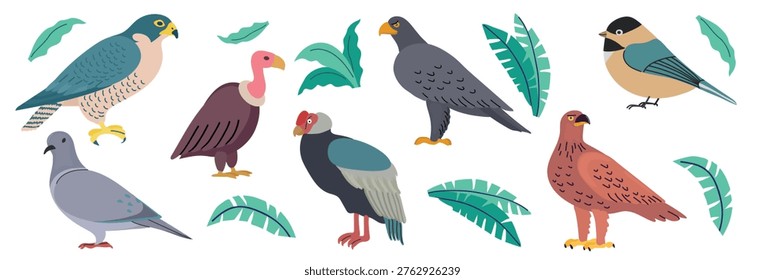 Mountain birds and birds of prey set in flat hand-drawn style. Vector illustration of eagle, falcon, vulture, condor, pigeon, and small songbird with tropical leaves for nature education, wildlife design, and kids projects. Isolated on white background.