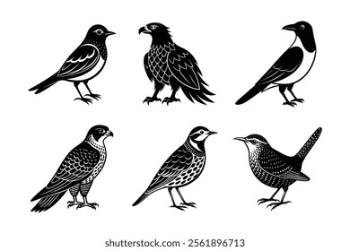 Mountain Birds Silhouette Pack – Mountain Bluebird, Golden Eagle, Rock Wren, Western Meadowlark, Clark's Nutcracker, Peregrine Falcon