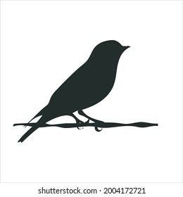 Mountain Bluebird Vector Silhouette isolated on white background