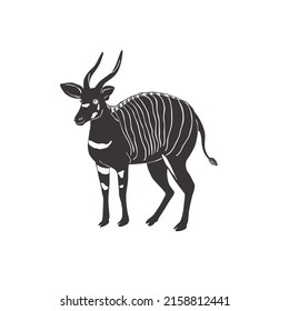 Mountain Bongo On White Background. Vector Wild Animal. Safari.