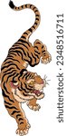 Mountain Chinese Tiger Climb Down Colored Isolated Vector Illustration