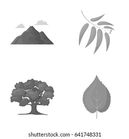 Mountain, cloud, tree, branch, leaf.Forest set collection icons in monochrome style vector symbol stock illustration web.