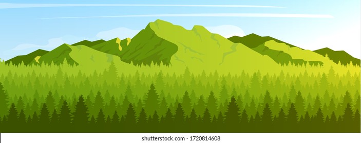 Mountain and coniferous forest flat color vector illustration. Green hill and fir trees. Wild summer nature scenery. 2D cartoon peaceful landscape with woodland and rock on background