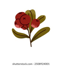 Icono de arándano de montaña. Rama de arándano rojo con hojas verdes. Ramita de vaquero con follaje, bayas rojas. Alimentación saludable, alimentación. Ilustración vectorial dibujada a mano aislada plana sobre fondo blanco