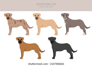 44,246 Dog Cur Images, Stock Photos & Vectors | Shutterstock