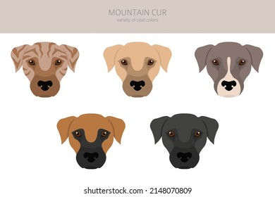 are mountain cur noisy