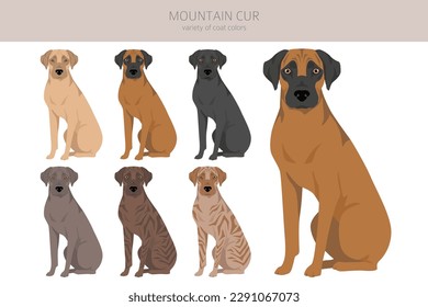 Mountain Cur clipart. Different poses, coat colors set.  Vector illustration