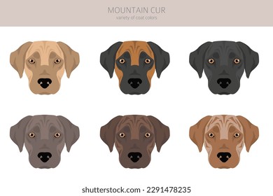 Mountain Cur clipart. Different poses, coat colors set.  Vector illustration