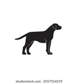 Mountain Cur dog, silhouette dog breeds animal pet