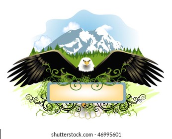 mountain eagle frame