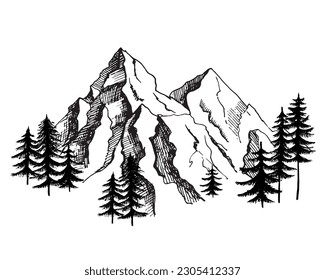 Mountain with fir trees at the bottom night graphic black white landscape sketch illustration vector.