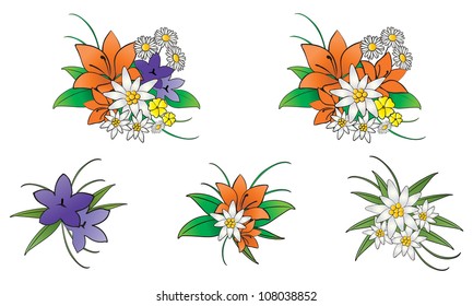 Mountain flowers