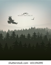 mountain forest in fog and eagle bird