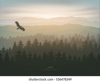 mountain forest in fog and sunrise with stars