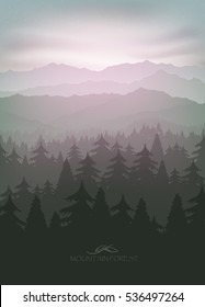 mountain forest in fog and sunrise with stars