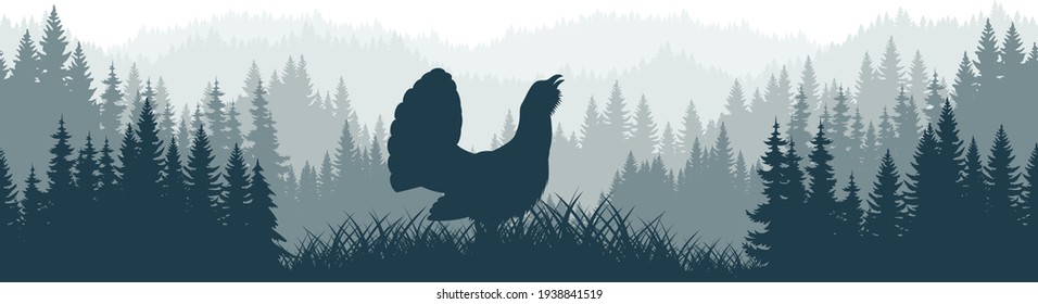 mountain  forest woodlands, seamless vector background pattern with Eurasian capercaillie, wood grouse or heather cock