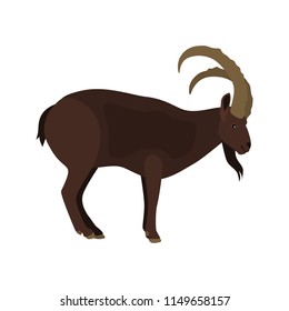 Mountain goat color vector icon. Flat design