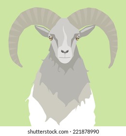 Mountain goat isolated on green background