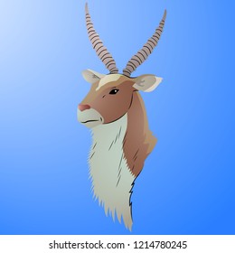 Mountain goat with long horns on a blue background.