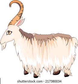 Mountain goat with long wool