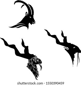 Mountain goat markhor (Capra falconeri) head black and white