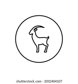 Mountain Goat on white background.