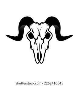 Mountain goat skull with black horns on white background