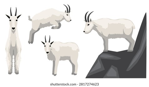 Mountain Goat Standing Jumping Vector Illustration