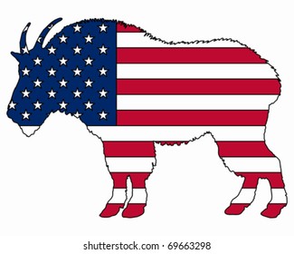 Mountain goat USA
