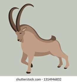 mountain goat, vector illustration ,  profile view, flat style