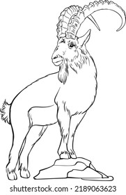 Mountain goat vector line black and white drawing