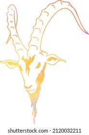 mountain goat vector or painting with watercolors