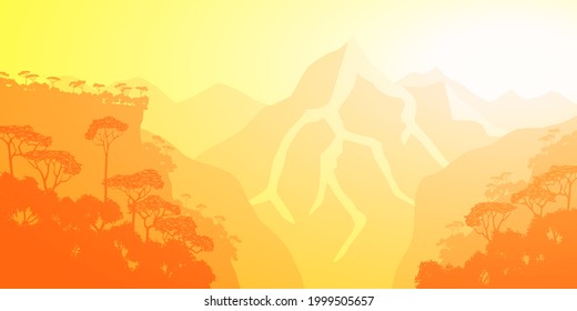 Mountain gorge in morning light, rainforest