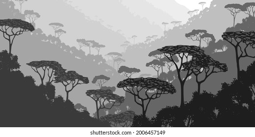 Mountain gorge with rainforest, black and white landscape 