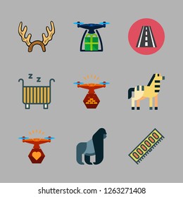 mountain icon set. vector set about zebra, cradle, drone and road icons set.