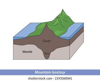 Mountain Isostasy, Mantle And Water Density Scheme